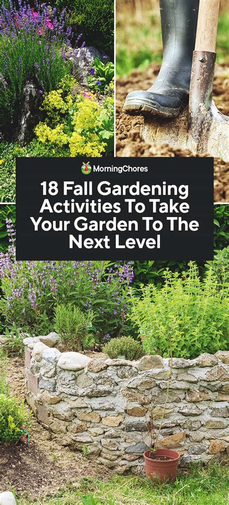 18 Fall Gardening Activities To Take Your Garden To The Next Level