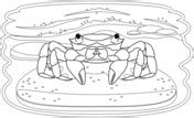 Crabs Coloring Pages Free Coloring Pages