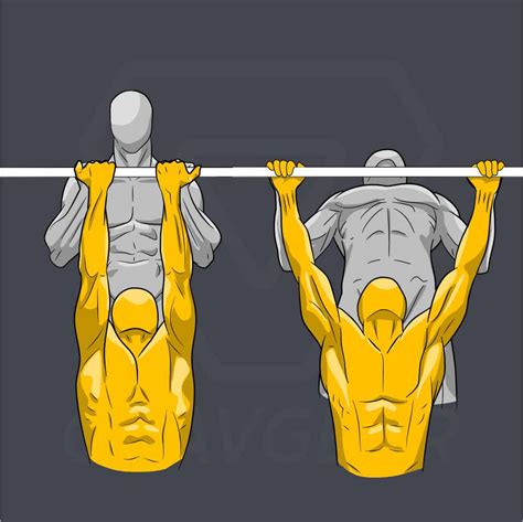 Chin Ups Or Pull Ups How To Choose The Best Upper Body Exercise Gravgear