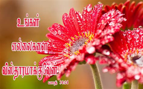 See more ideas about tamil bible words, bible words, tamil bible. Tamil Bible Words