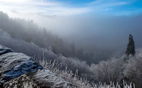 Nature Landscape Sunrise Winter Mist Forest Snow Cold Trees