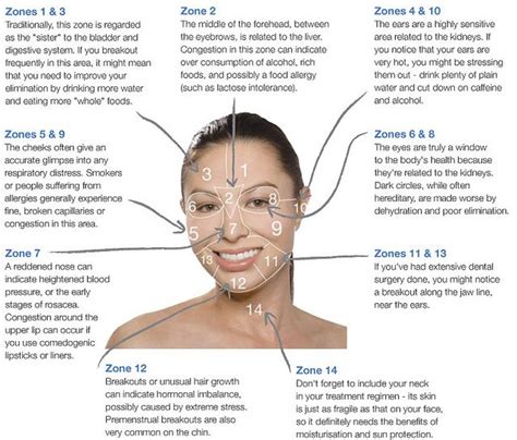 Dermalogica Face Map Face Mapping Acne Acne Mapping Face Acne