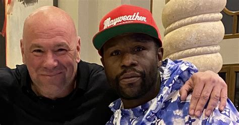 ufc chief dana white teases floyd mayweather news with cryptic twitter post daily star