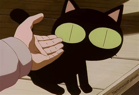 Kuroneko Trigun Black Cat Black Cat Anime Cute Anime Cat Anime Cat