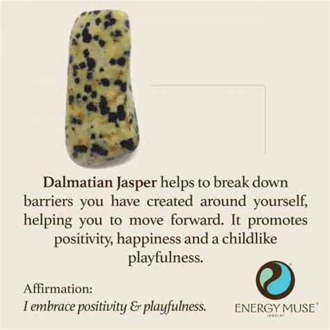 Dalmatian Jasper Stone Discover The Dalmation Jasper Meaning From