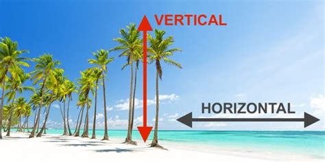 Horizontal Y Vertical Cconcepto