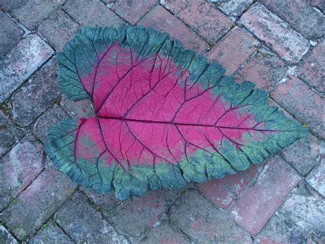 Painted Concrete Leaf Concrete Leaves Painting Concrete Painting Cement