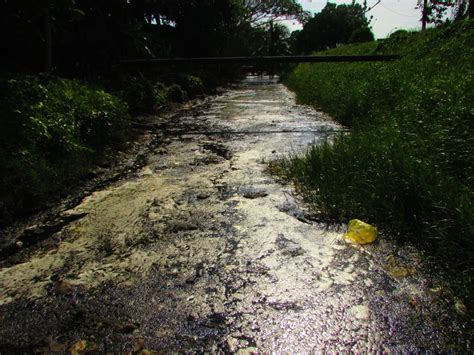 Longkang Di Batu Maung Dicemari Sisa Buangan Sahabat Alam Malaysia