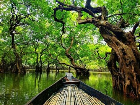 26 best tourist places in bangladesh javatpoint