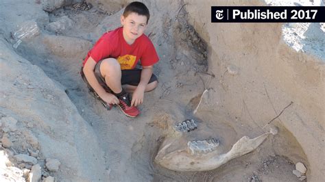 A 9 Year Old Tripped Fell And Discovered A Million Year Old Fossil