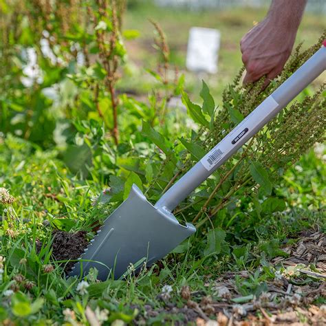 8 Best Shovels For Digging Up Roots Ruddshomefarming