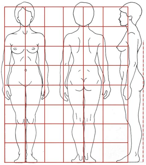 03 Proporçoes Corpo Ideal Corpo Humano Figuras Humanas