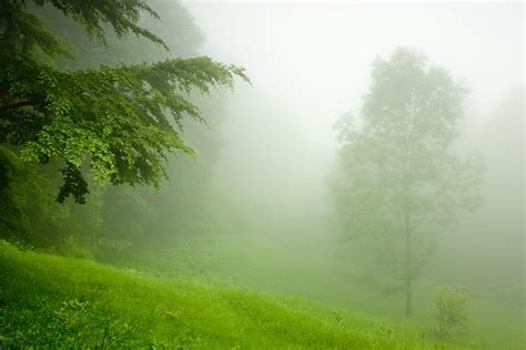 Green Mist Photograph by Evgeni Dinev