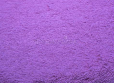 Purple Faux Fur For Texture Or Background Stock Image Image Of
