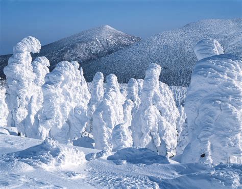 Japan Snow Monsters Around The World Weird