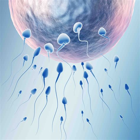 Male Fertility Treatments In Brisbane Using Acupuncture And Chinese Medicine