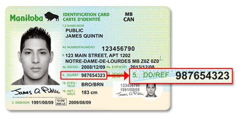 On What Documents Can I Find My Drivers License Number Lockqmo