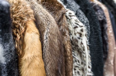 Fur Trade Debate Huw Merriman