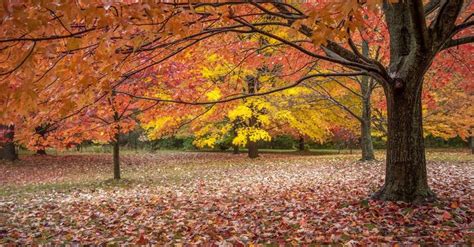 27 Autumn Photos That Will Leaf You Wanting More Fall Photos