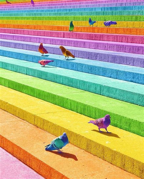 Pin By Nam Hughes On Rainbow Colorful Animals Rainbow Aesthetic