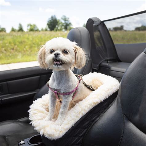 The 5 Best Console Dog Car Seats For Small And Medium Sized Dogs