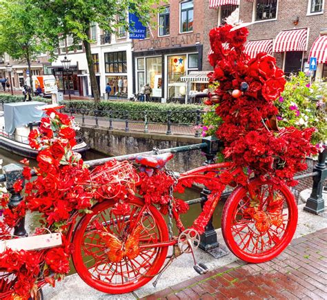 Flowers On Wheels The Fun Floral Bikes Of Amsterdam