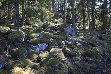 Free Images Landscape Tree Rock Wilderness Trail Stream Ridge