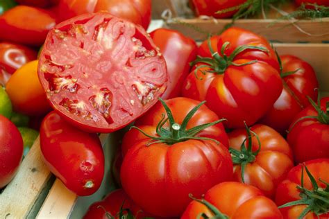 The 15 Best Beefsteak Tomatoes To Grow In 2021 Food Gardening Network