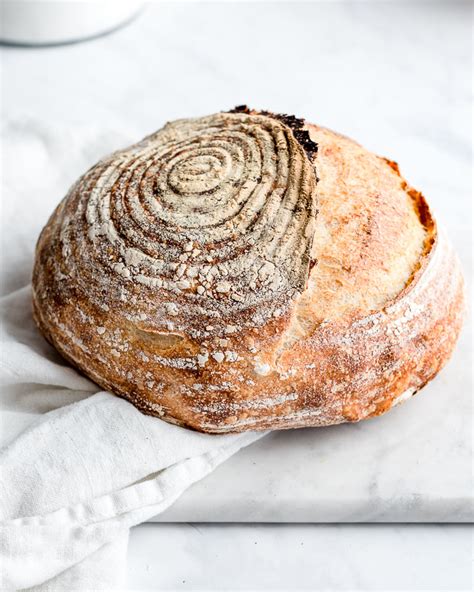 top 10 no knead sourdough bread recipe