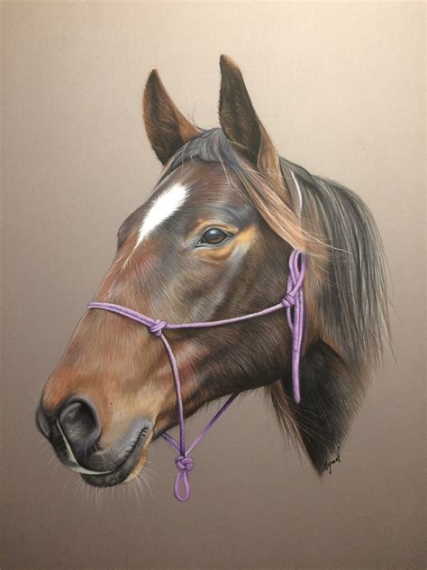 Cheval Au Pastel Horse Drawings Horse Artwork Equine Inspiration