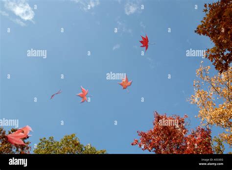 Fall Hi Res Stock Photography And Images Alamy