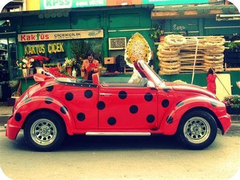 Ladybug Bug Car Vw Beetles Volkswagen