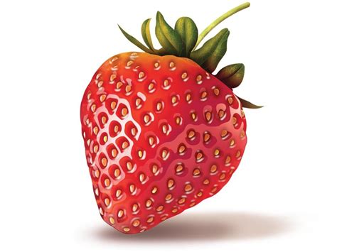 Photo Realistic Strawberry Illustration Strawberry Drawing