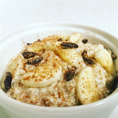 Unfortunately i haven't had great success with steel oats. Roasted Cricket and Banana Oatmeal | Banana oatmeal, Cricket flour recipes, Cricket flour