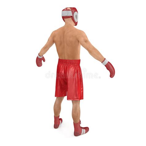 Portrait Muscular Male Boxer Stock Illustrations 411 Portrait