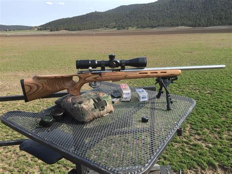 17 Hmr Shoot Off Savage 93r17 Vs Cz 455 The Truth About Guns