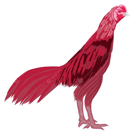 fighting red rooster vector rooster head design colored rooster png and vector with