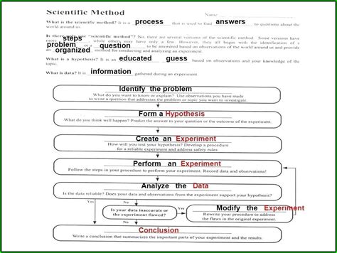 Natural selection vocabulary gizmo answer key for natural selection natural selection gizmo answer key book pdf free download link book now all books are in clear. Natural Selection Answer Key Gizmo + My PDF Collection 2021