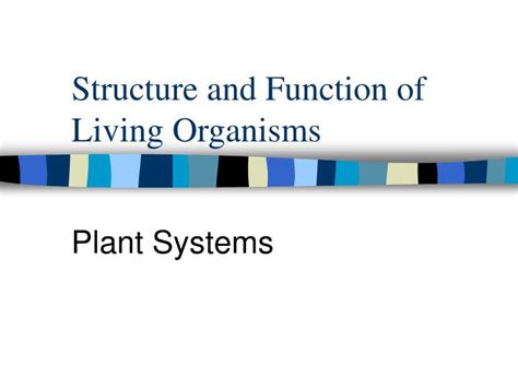 Ppt Structure And Function Of Living Organisms
