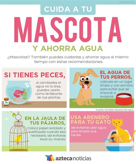 Cuida A Tu Mascota Y Ahorra Agua Infografia Mascotas Cosas Para