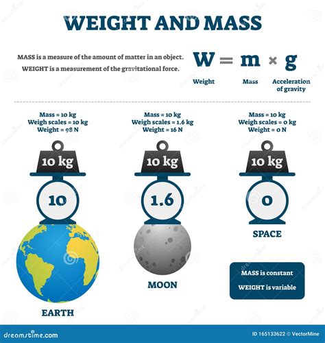 Weight And Mass Vector Illustration Labeled Educational Comparison