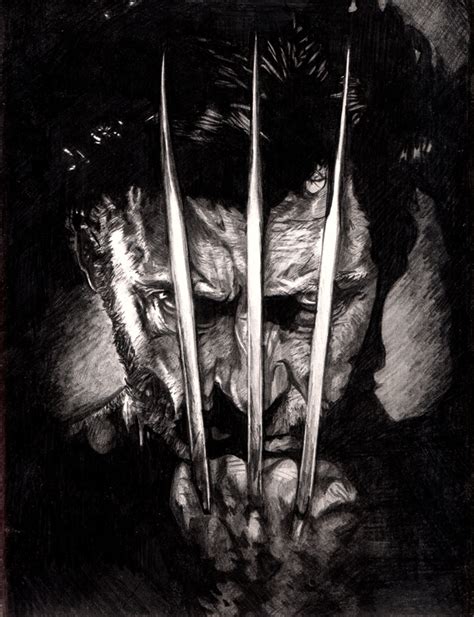 Wolverine Pencil Portrait By Dragonpress On Deviantart