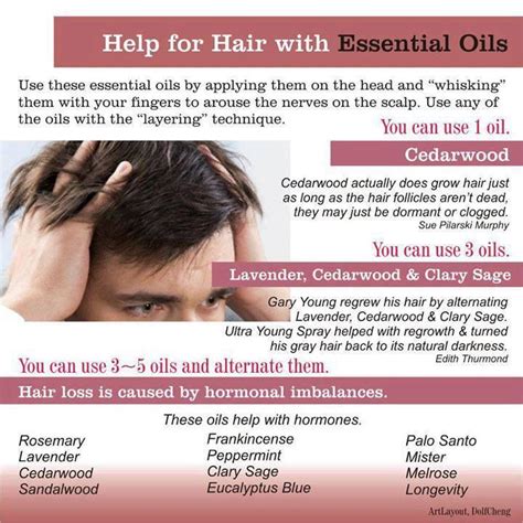 Grow back your hair with these 10 oils. Young Living Cedarwood, Clary Sage, Lavender Essential ...