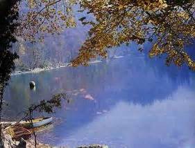 A wonderful place located in the heart of biogradska gora national park, on an altitude of 1,094 m, near the town of kolasin in montenegro. ZANIMLJIVOSTI