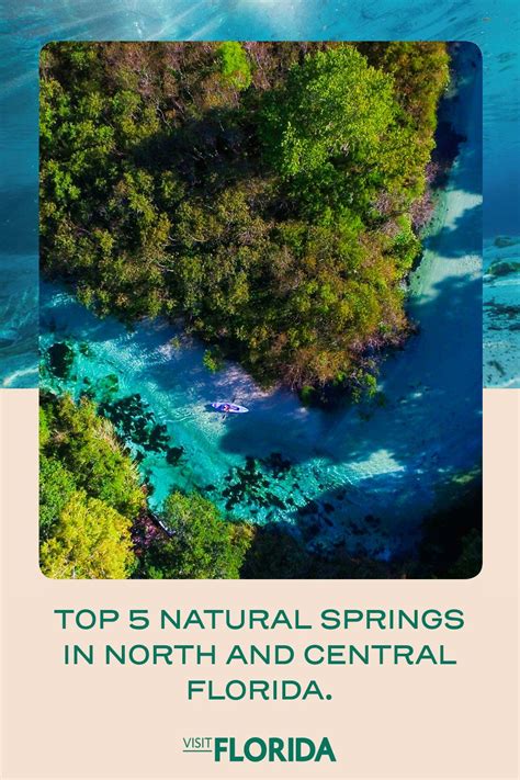 Top 5 Natural Springs In North And Central Florida Beautiful Places To