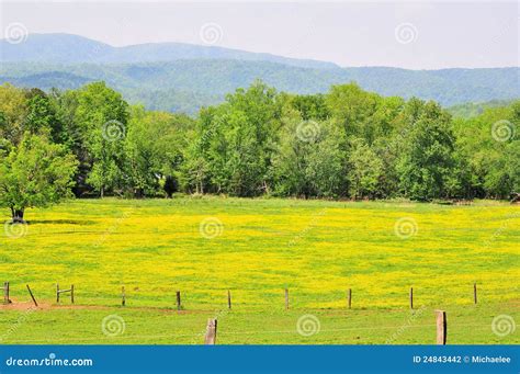 Mountain Pasture Land Stock Photo Image Of Pasture Scenic 24843442