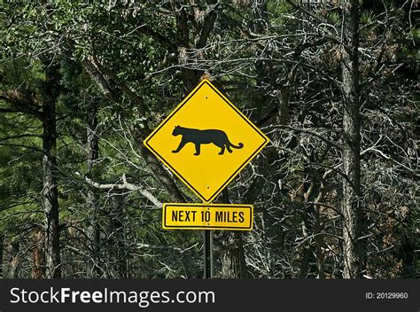 Mountain Lion Warning Sign Free Stock Images And Photos 20129960