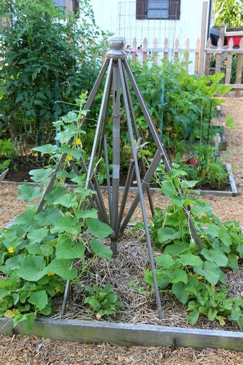 10 Amazing Upcycled Trellis Ideas To Add Interest To Your