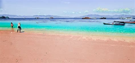 The Beauty Of The Pink Beach In Lombok Indonesia Editorial Image