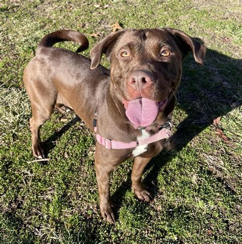 Monmouth County SPCA | Eatontown NJ